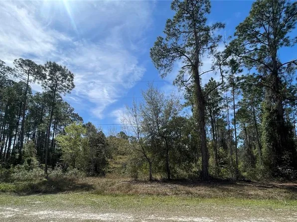 103 Rosewood St #16, Georgetown, FL 32139