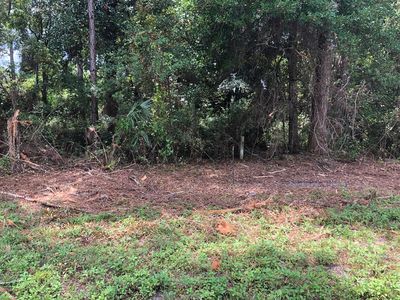130 Bluewater Beach Cir, Carrabelle, FL, 32322