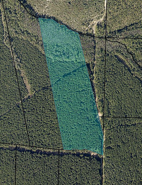2nd image of 2656 Bashi Rd