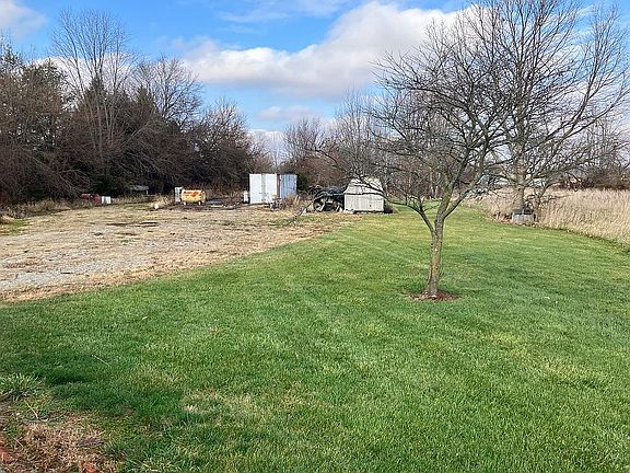 Grassy back lawn
