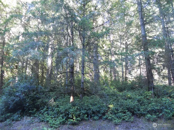 12315 110th Street Ct, Anderson Island, WA 98303