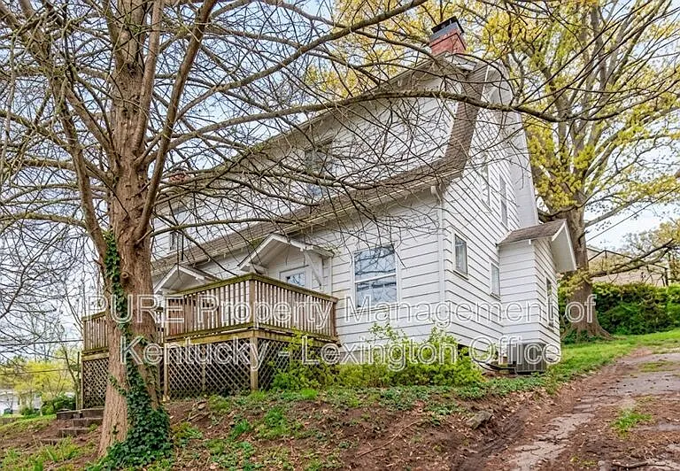 3 Dogwood St — Photo 16