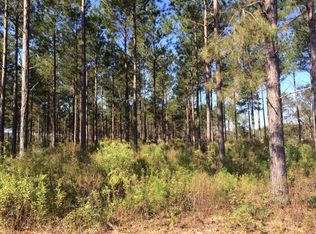 0 Bj Mixon Rd, Cottonwood, AL 36320