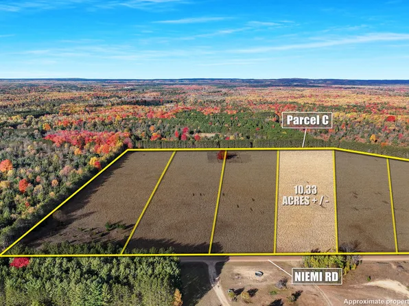 0 Niemi Rd Parcel C, Kaleva, MI 49645
