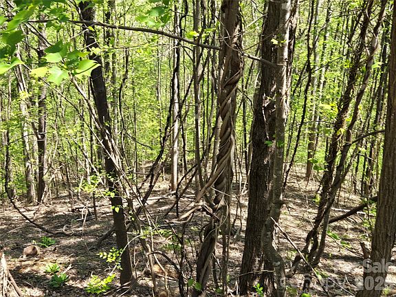 3rd image of LOT 33 Turkey Fall Ln
