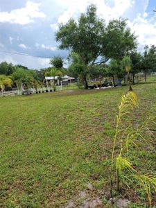 21802 Jackson Rd, Christmas, FL, 32709