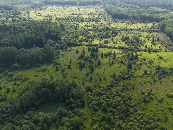 County Road 14, Littlefork, MN 56653