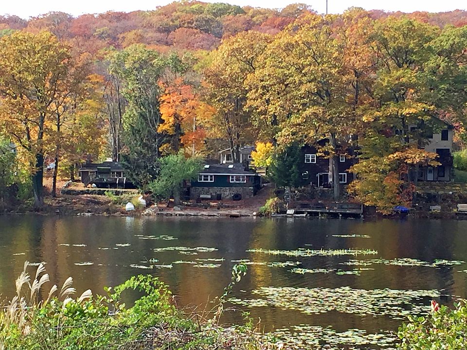 LAKERONT PROPERTY