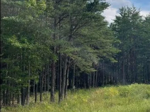 4 Stafford Cv, Ruther Glen, VA 22546