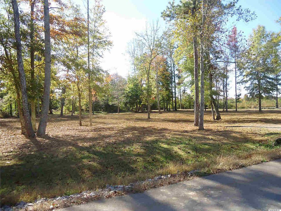2nd image of Austin Whitt Rd