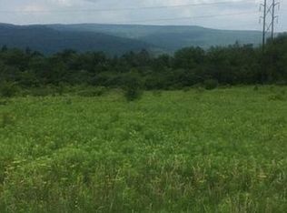 McDougall Rd, Pattersonville, NY 12137