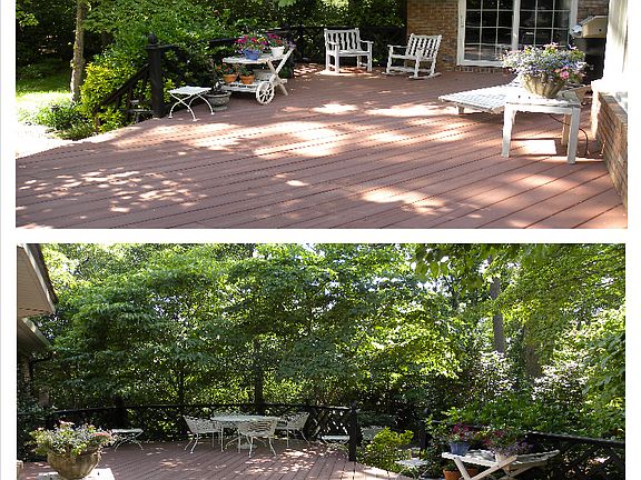 3rd image of 131 Highland Forest Dr