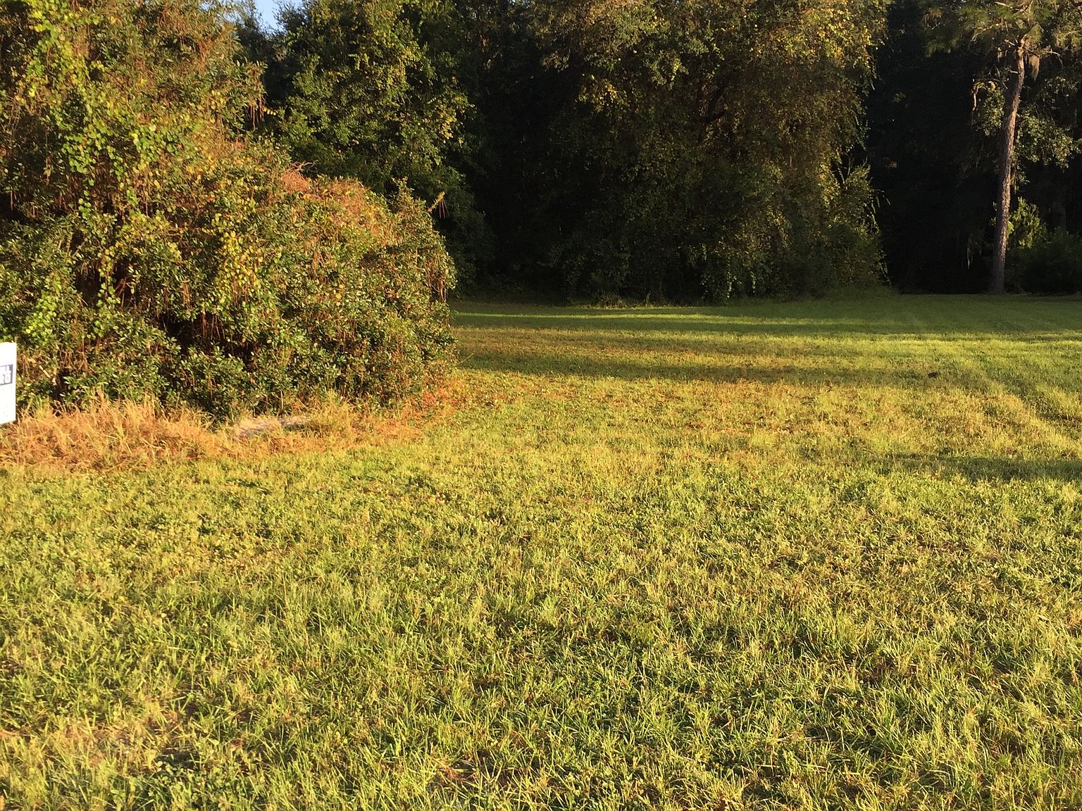 5911 NE 57th Loop, Silver Springs, FL 34488 Zillow