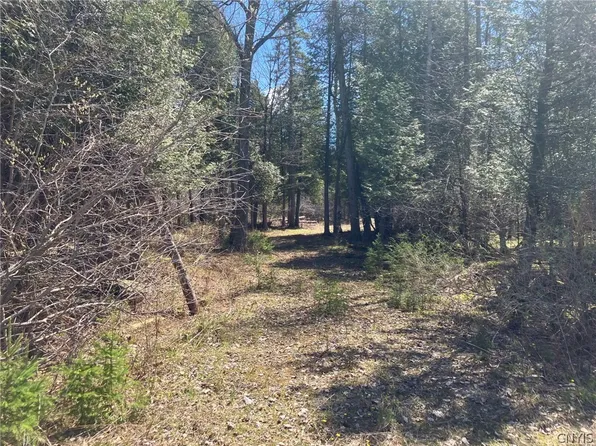County Road 35 Lot 41, Potsdam, NY 13676