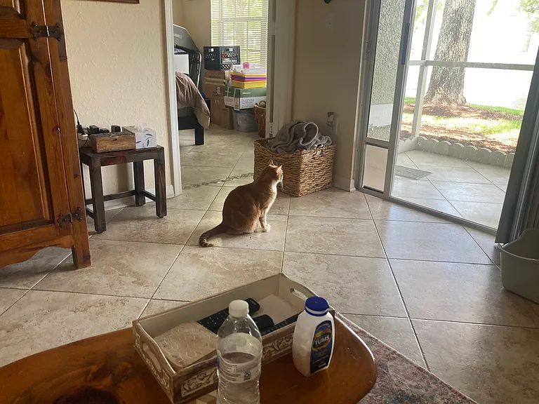 Brand new tile floor throughout the condo including the lanai!