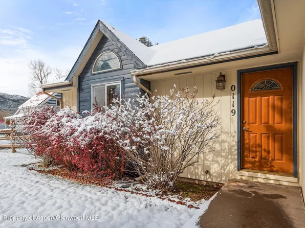 119 Parkside Ln, El Jebel, CO 81623