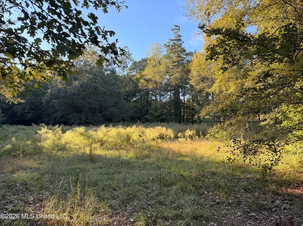 0 Ole Springs Rd, Summit, MS 39666