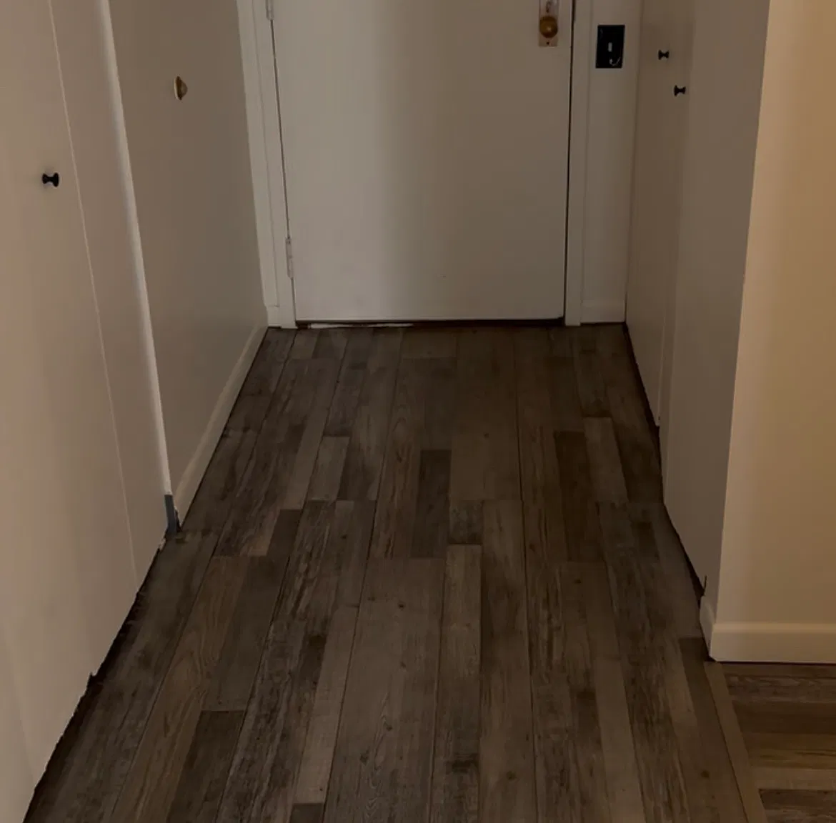 1 bed, 770 sqft, $1,500 — Photo 2