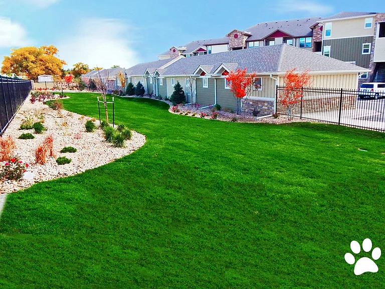 Off-Leash Dog Park