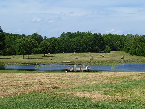 3rd image of 3131 Old Kings Hwy