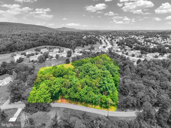 228 Larch Ln, Enola, PA 17025