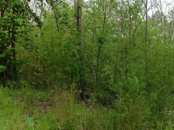 201 Berry Mountain Loop #1, Blountsville, AL 35031