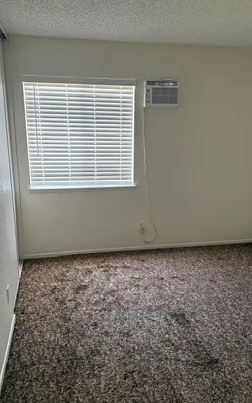 903 Lombard Dr — Photo 10
