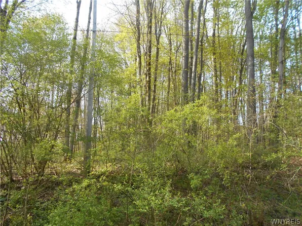 0 Neamon Dr Lot 22, Delevan, NY 14042