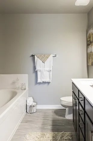 Garden Soaking Tub in Master