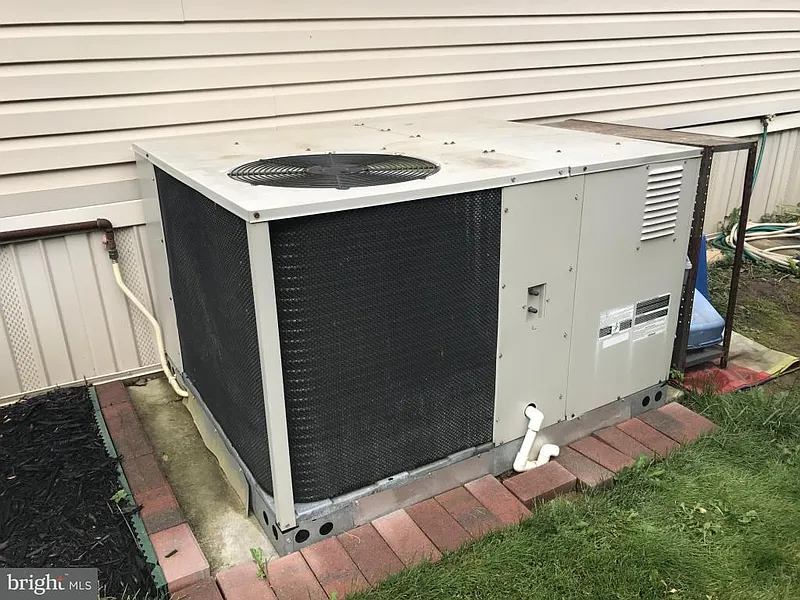 Thumbnail 19