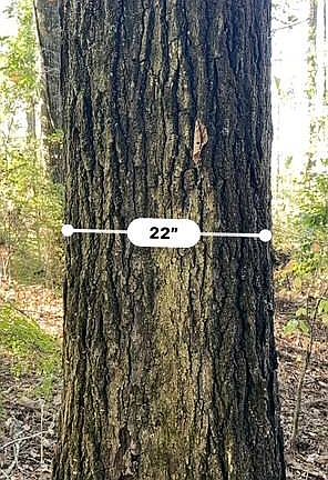 4th image of NULLB Pat Luckett Rd