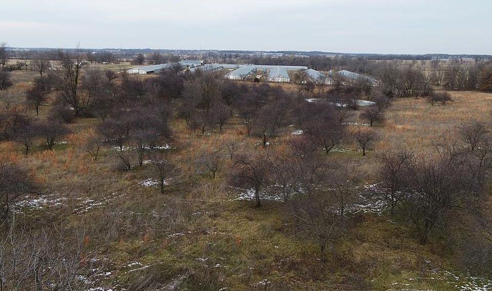 15615 Private Road 1015, Exeter, MO 65647 Zillow