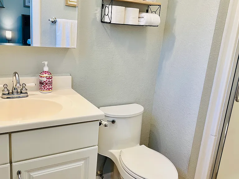 Primary Bathroom with shower