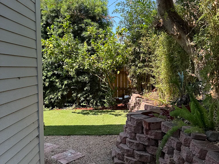 Side yard.