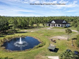 2321 Waccassa St, Geneva, FL 32732