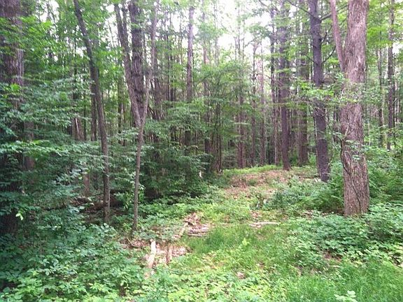 5th image of 163 Woodstream Ln