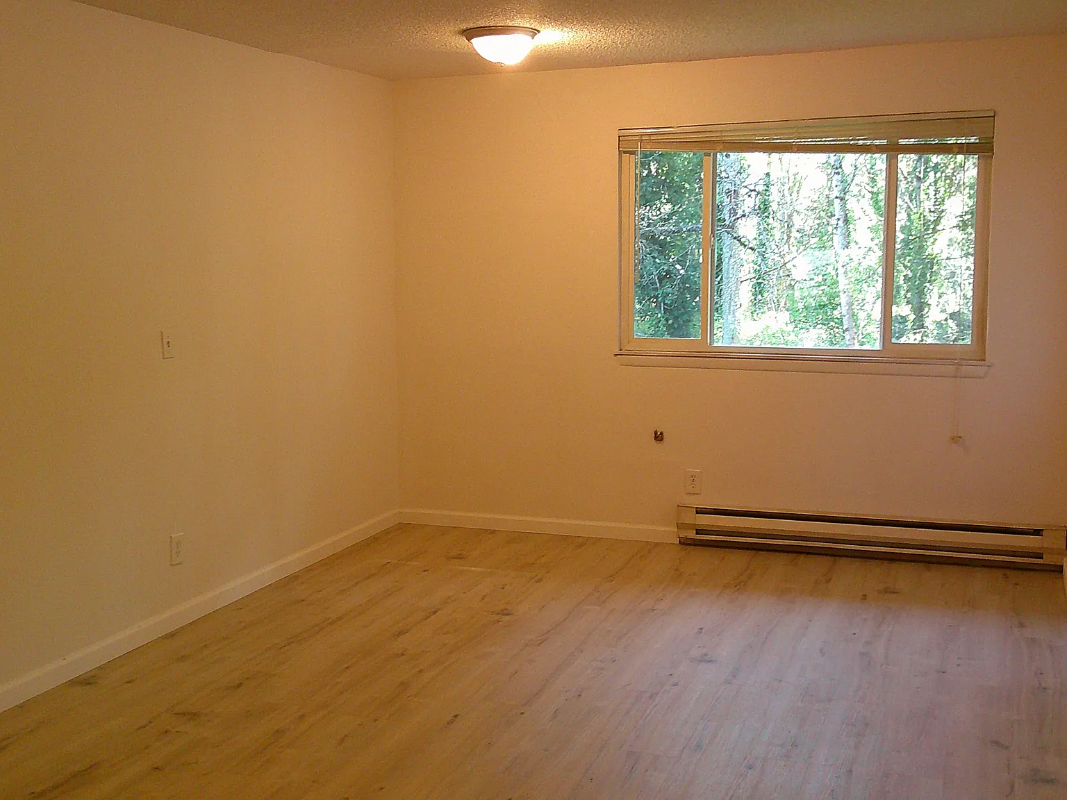 10805 SE 222nd Pl — Photo 1
