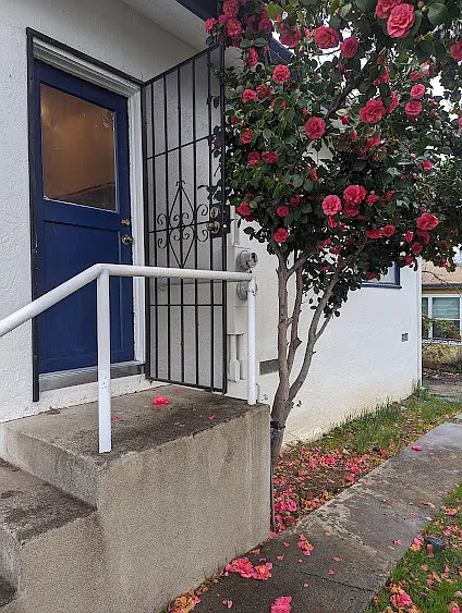 2900 Placer St #A — Photo 3