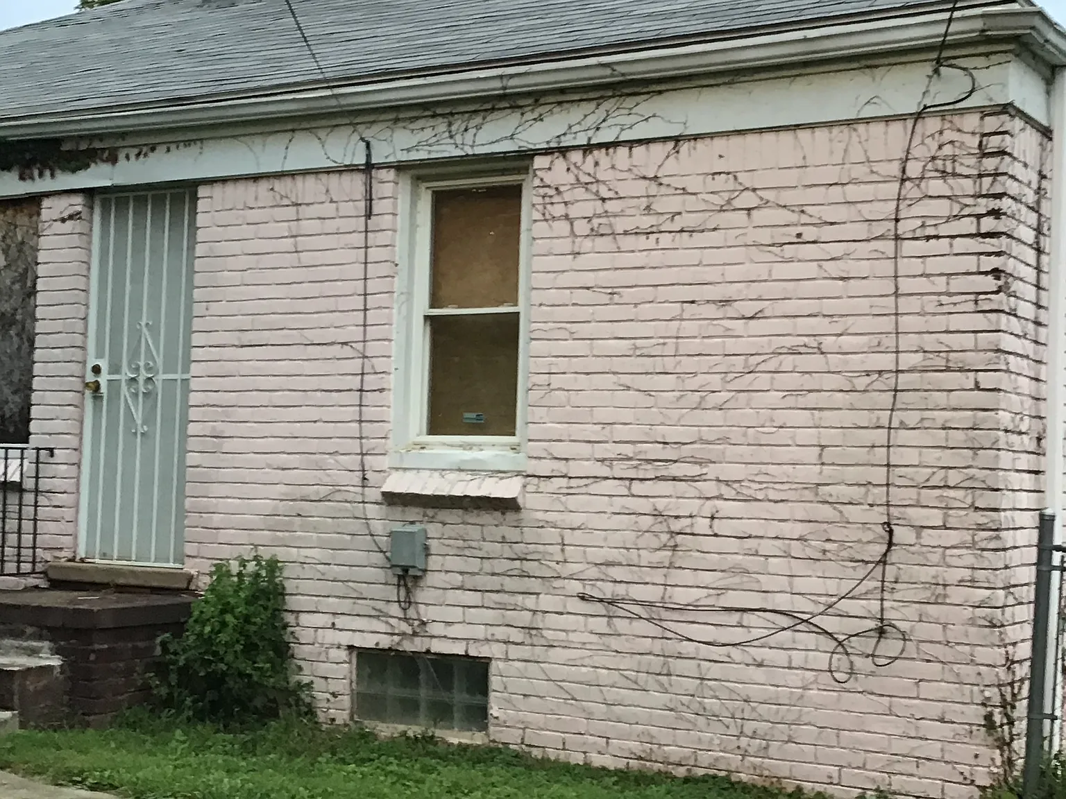 2 bed, 800 sqft, $1,000 — Photo 3