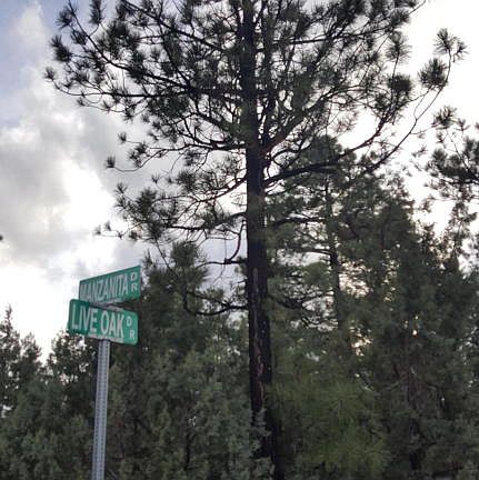 5th image of 5283 Live Oak Dr