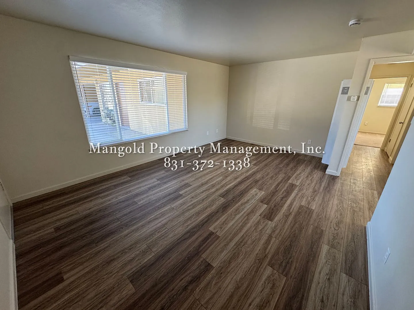 255four — Photo 4