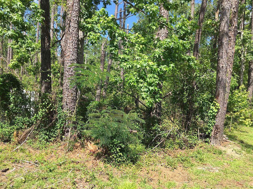 2nd image of 329 Red Bull Island Dr