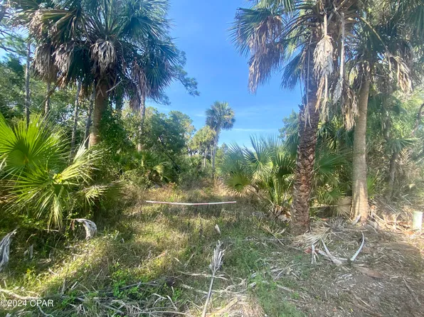 0 Indian Pass Rd, Pt Saint Joe, FL 32456