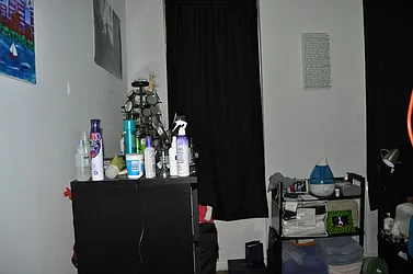 Rented by Sky Management