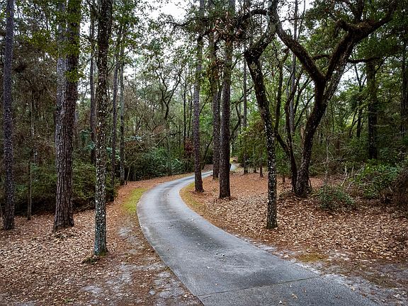 4th image of 28175 Hammock Rd