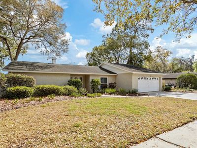 1105 Samy Dr, Tampa, FL, 33613