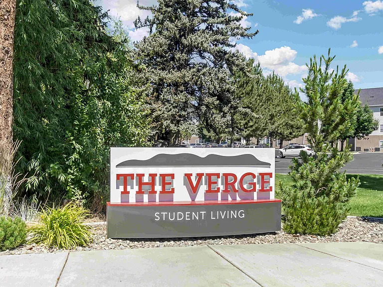 The Verge