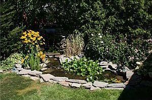 5th image of 427 Walton Dr