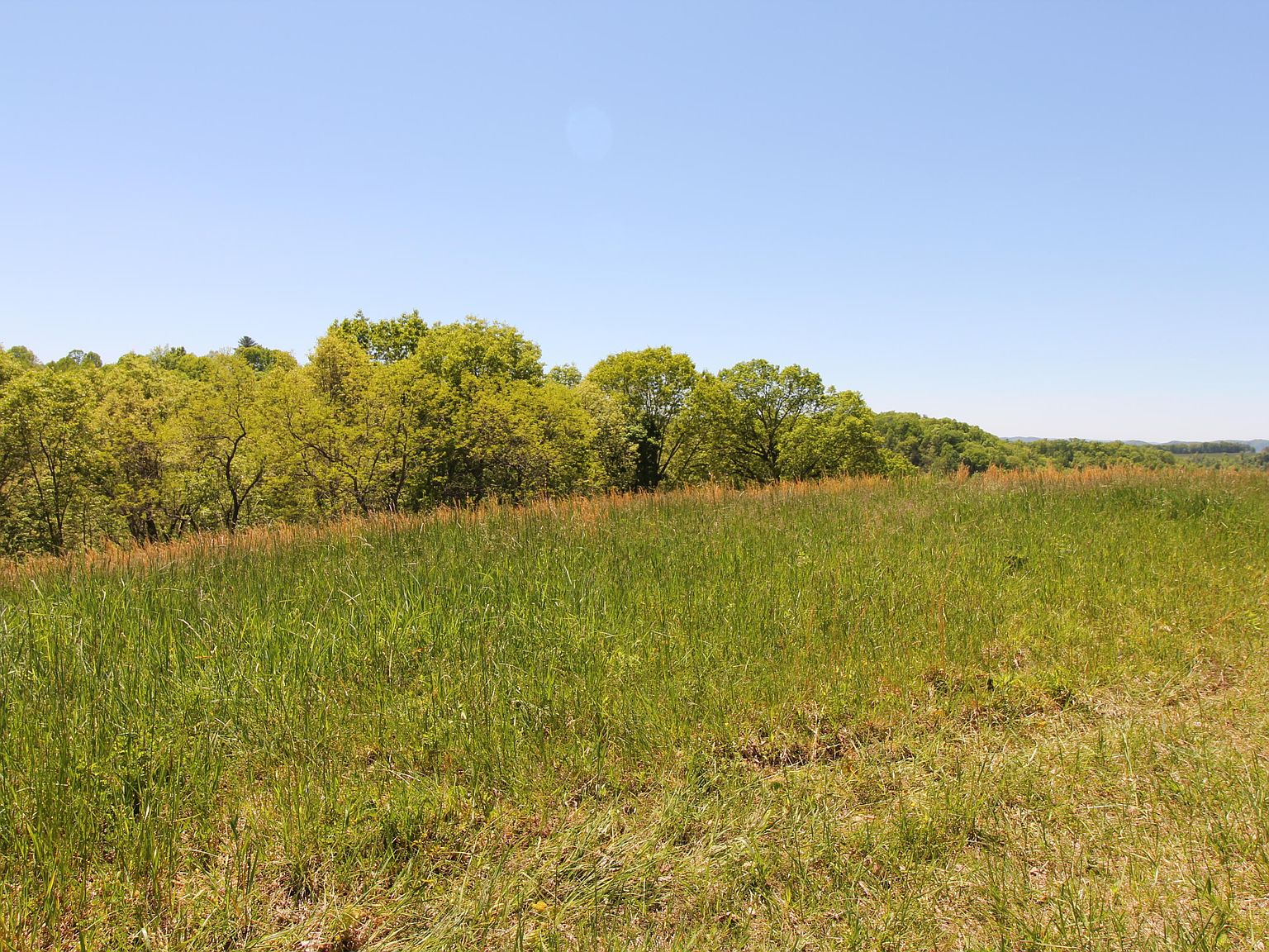 Alleghany Dr, Wayside, WV 24985 MLS 221426 Zillow