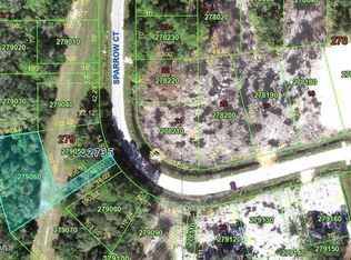 00-0 Sparrow Ct, Kissimmee, FL 34759